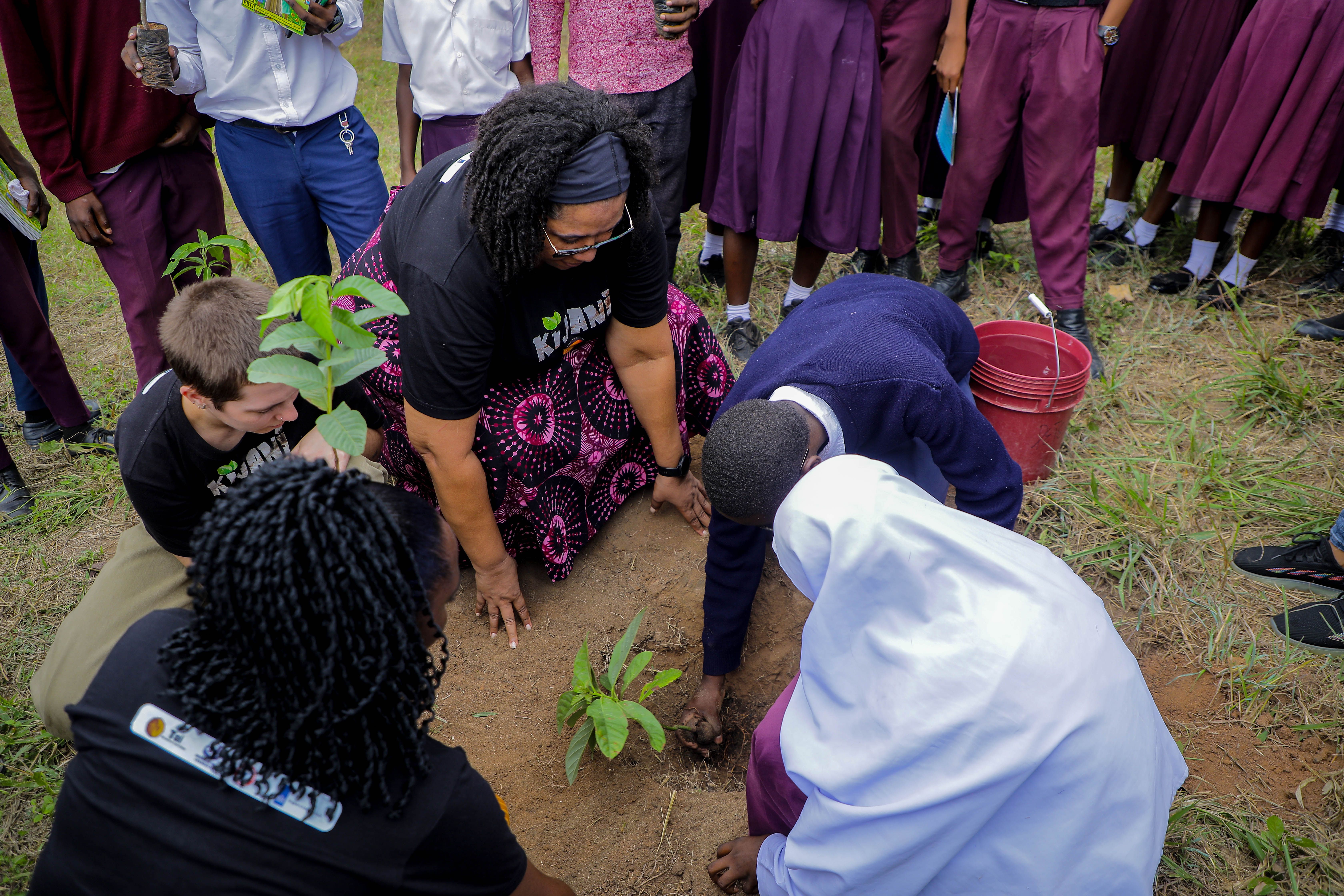 Children exploring the natural environment